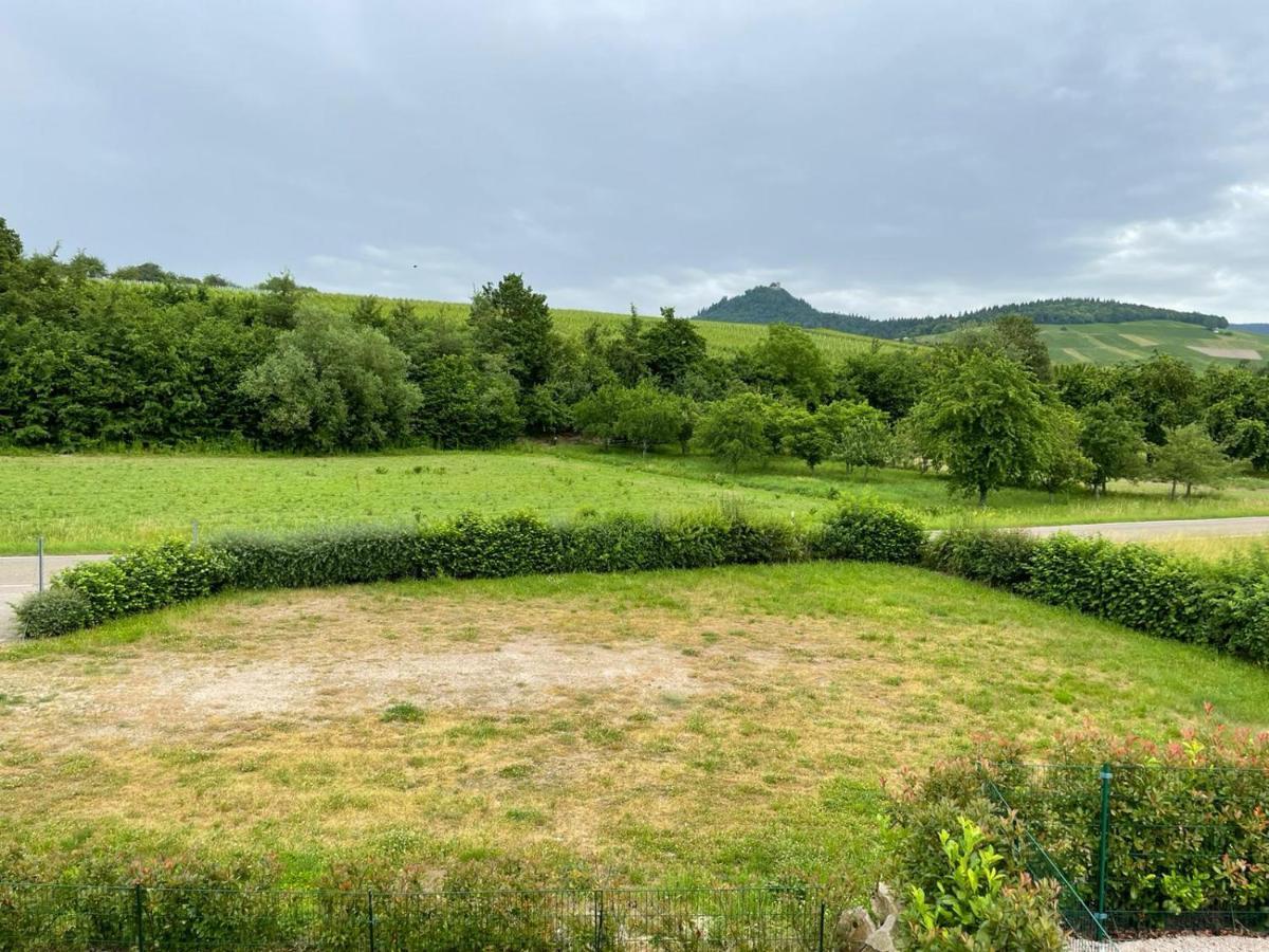 Ferienwohnung Reblandblick Baden-Baden Exteriör bild